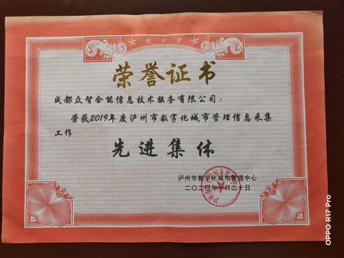 榮譽(yù)證書(shū)-瀘州市數字化城市管理中心