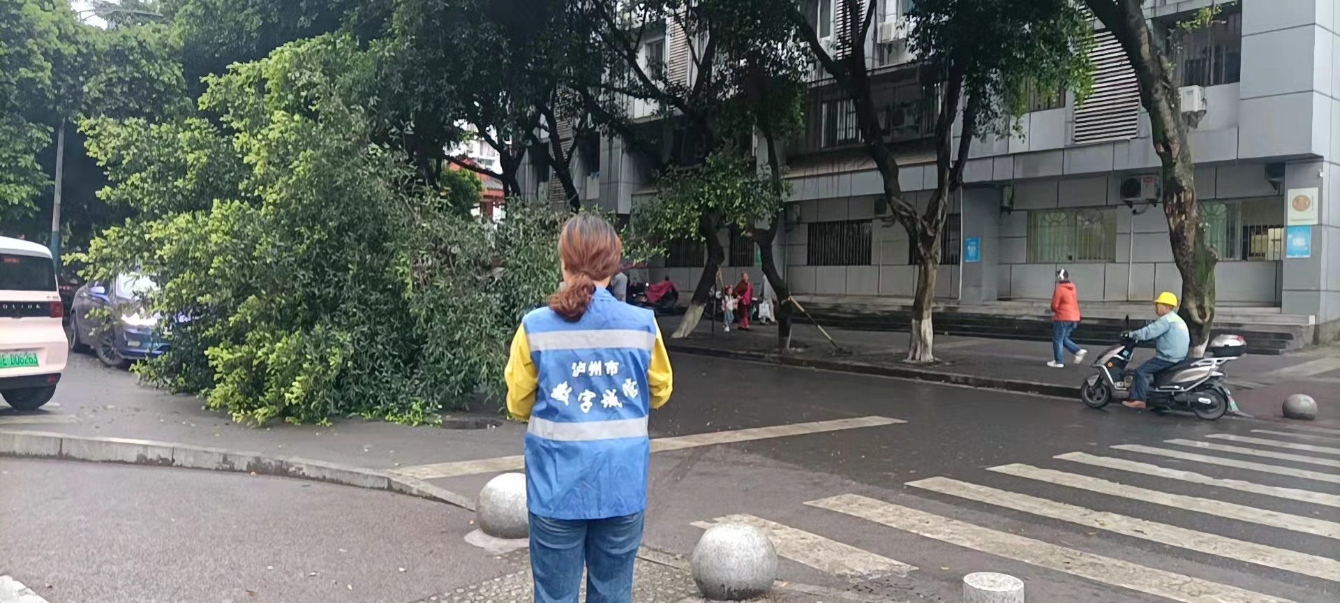 堅持雨后精準采集，共護市民出行安全