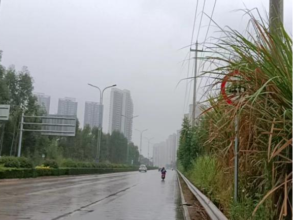 全力以赴戰寒潮，姜汁湯圓暖人心